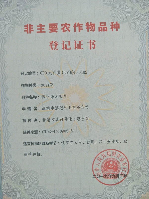 非主要農(nóng)作物品種登記證書-大白菜春秋綠帥四號