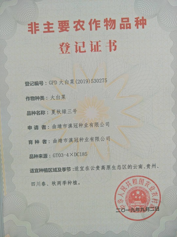 非主要農(nóng)作物品種登記證書-大白菜夏秋綠三號