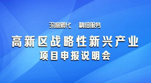 高新區戰略性新興產業項目申報會開幕，企業項目孵化迎來新機遇