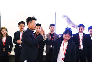 山東鼎基信息技術(shù) 深耕臨沂網(wǎng)站建設(shè)與網(wǎng)絡(luò)推廣，助力企業(yè)實(shí)現(xiàn)數(shù)字化騰飛